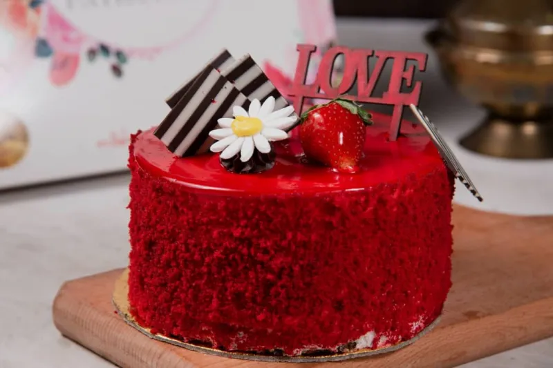 قالب كاتو ميني